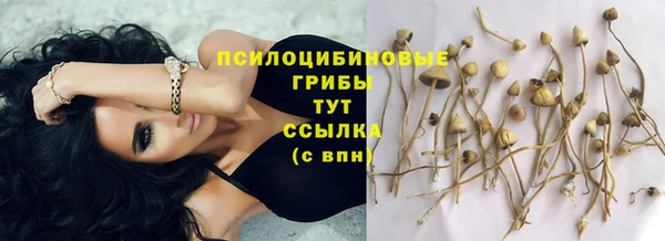 a pvp Абинск