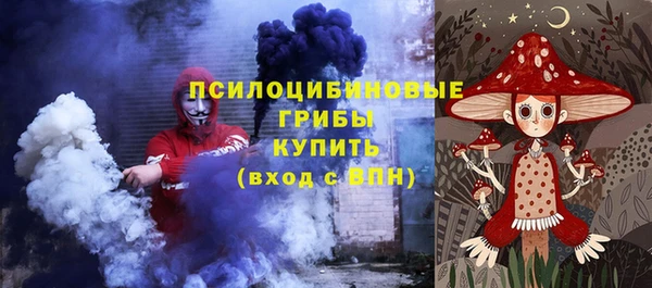 apvp Абаза