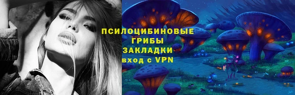 apvp Абаза