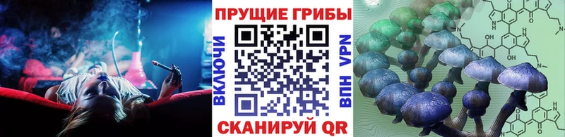 Псилоцибиновые грибы GOLDEN TEACHER  Вытегра 